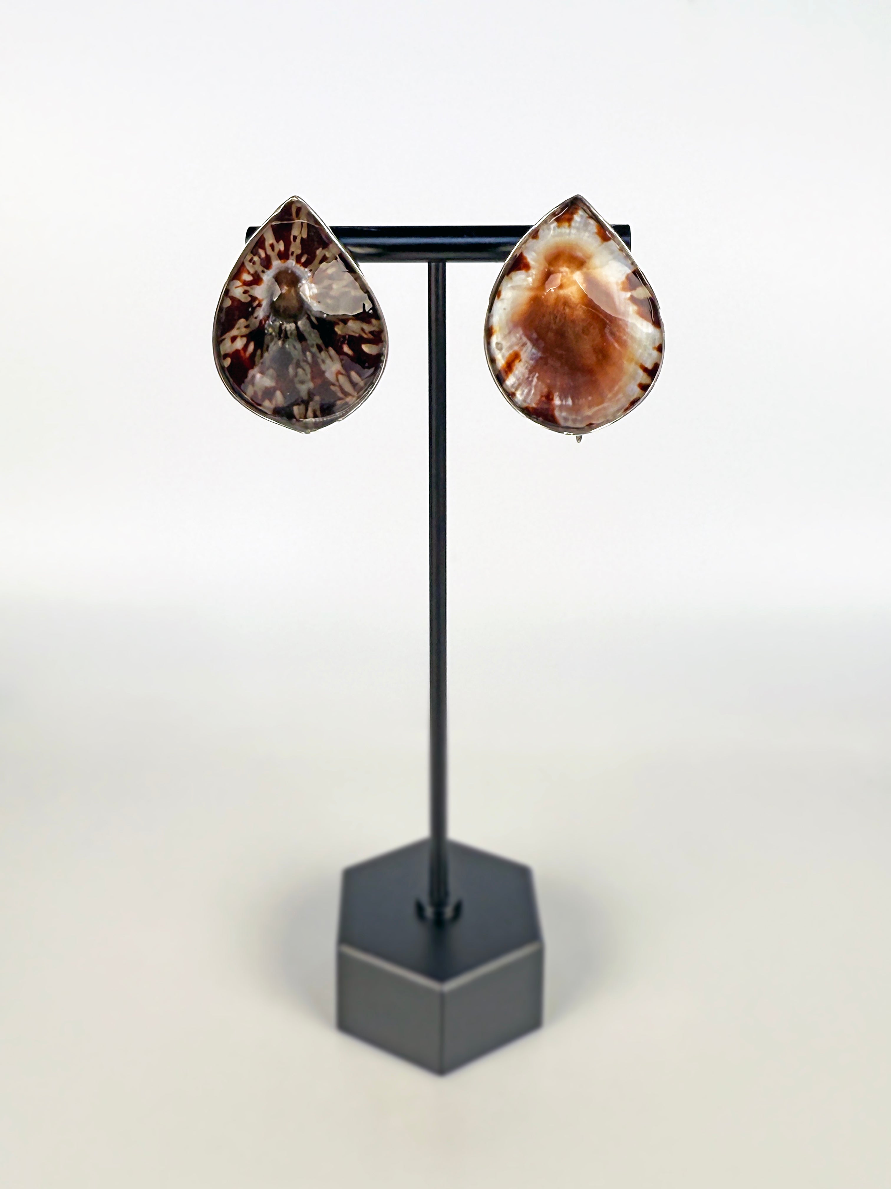 OVAL LIMPET SEASHELLS EARRING