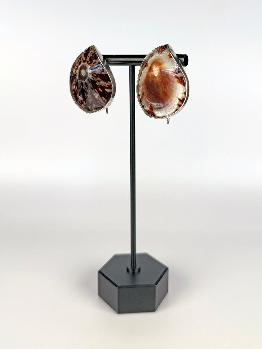 OVAL LIMPET SEASHELLS EARRING