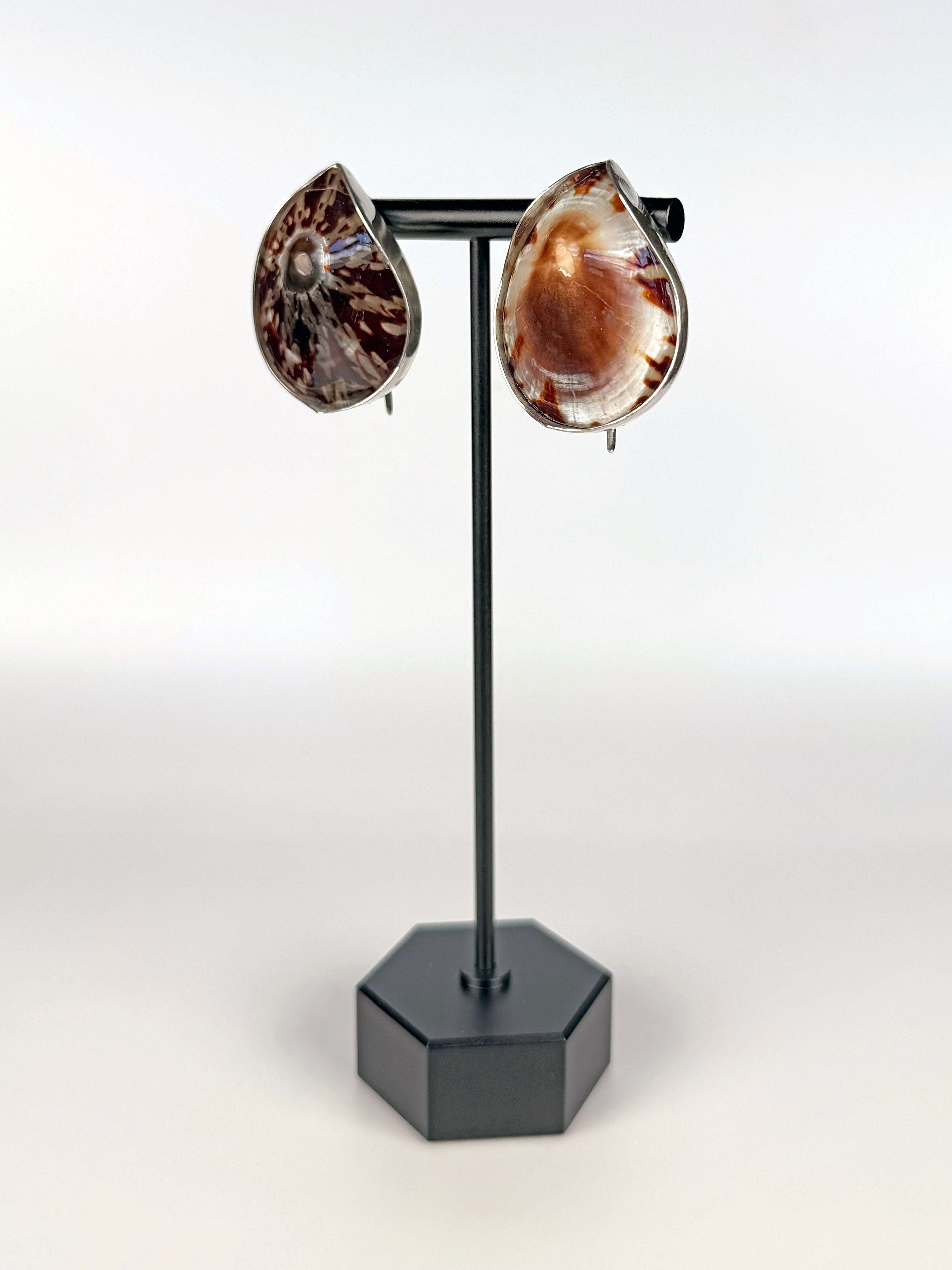 OVAL LIMPET SEASHELLS EARRING