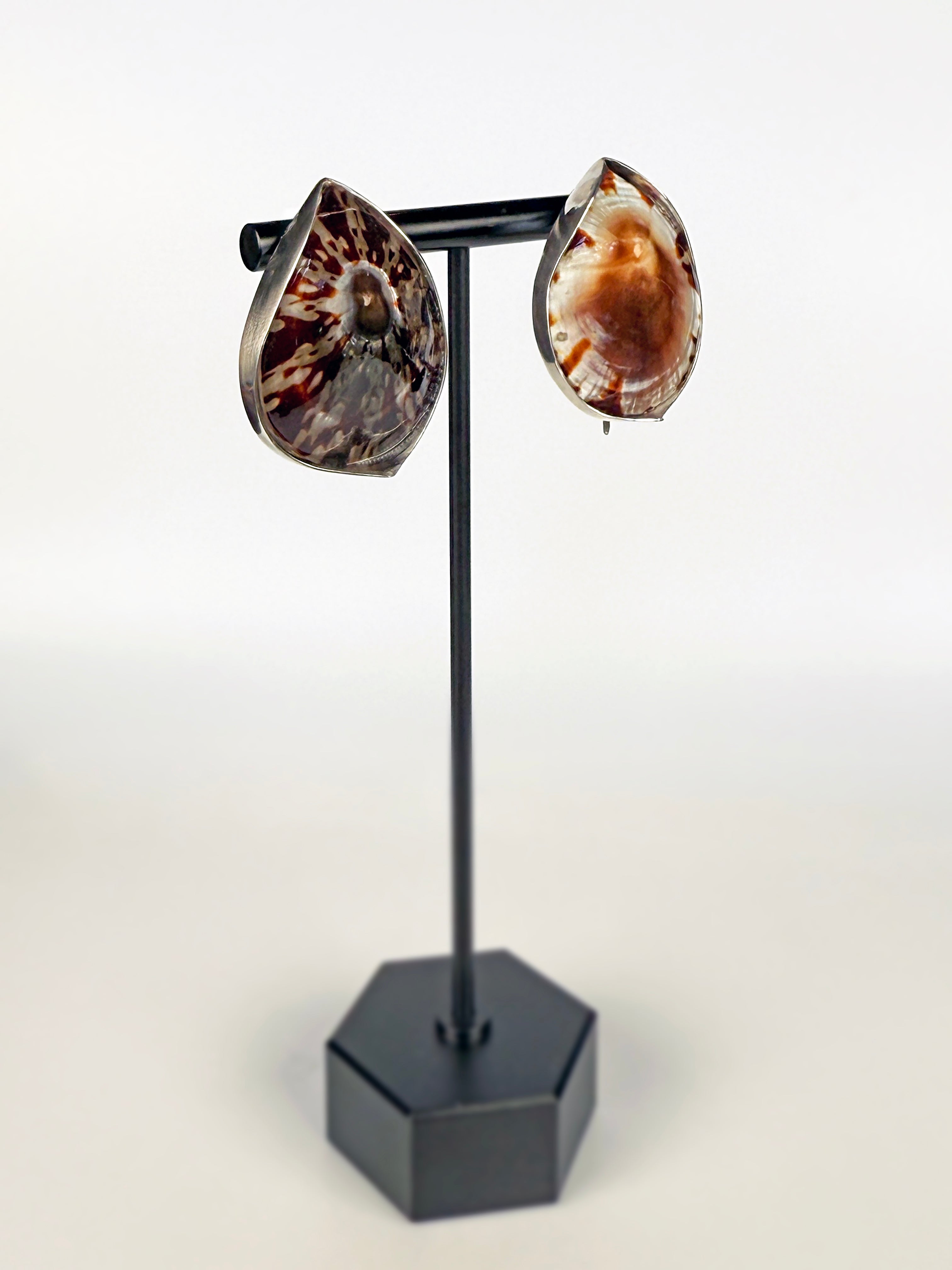 OVAL LIMPET SEASHELLS EARRING