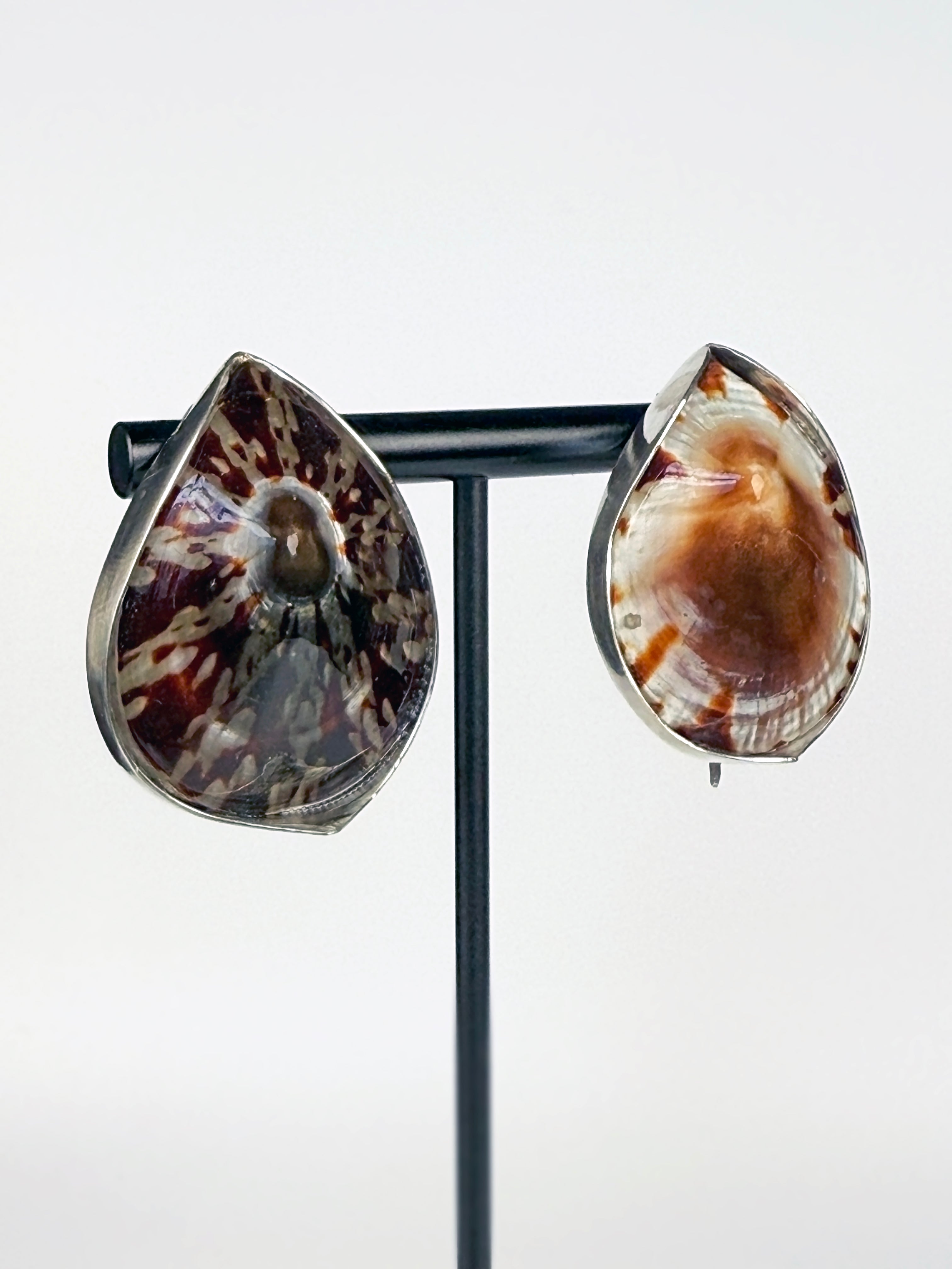 OVAL LIMPET SEASHELLS EARRING